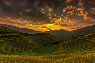 Scenic view of agricultural field against sky during sunset