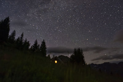 Scenic view of silhouette trees against sky at night