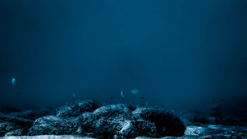 View of sea underwater