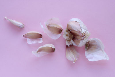 Directly above shot of ice cream against gray background