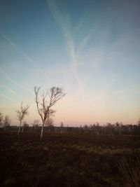 Scenic view of field against sky during sunset