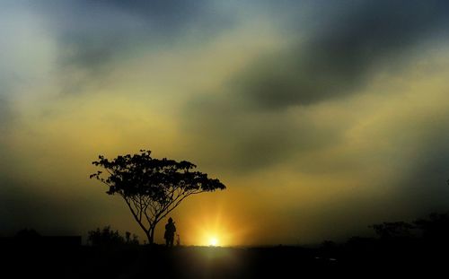 Silhouette tree against sky during sunset