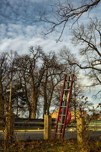 Low angle view of bare trees against sky