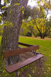 Empty bench in park