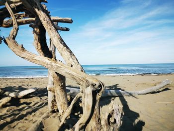 Wooden posts on wild beach against sky in toscana