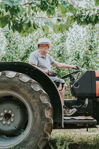 Side view of senior male farmer driving tractor amidst fruit trees during work in orchard on summer day