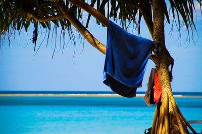 Low angle view of clothes hanging on beach against blue sky