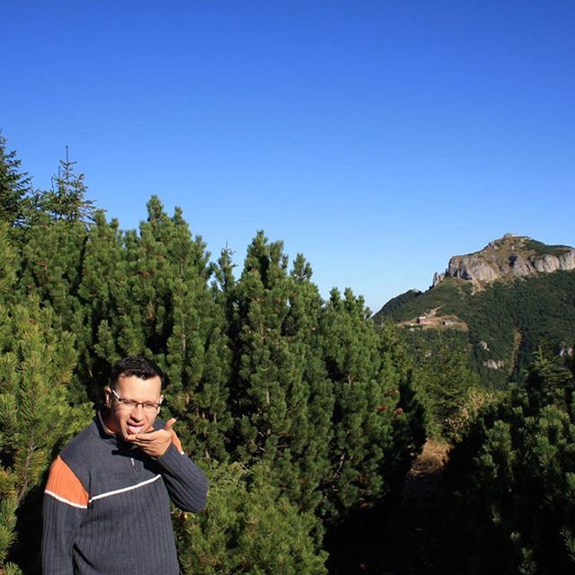 clear sky, lifestyles, tree, copy space, leisure activity, young adult, green color, blue, young men, growth, men, casual clothing, plant, nature, person, waist up, beauty in nature, standing