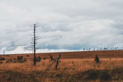 Scenic view of field against sky