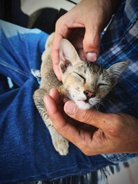 Midsection of man holding cat