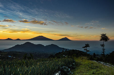 Scenic view of landscape against sky during sunset