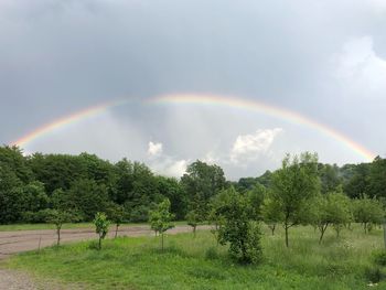 Scenic view of rainbow over trees against sky