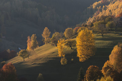 Scenic view of trees by mountains during autumn