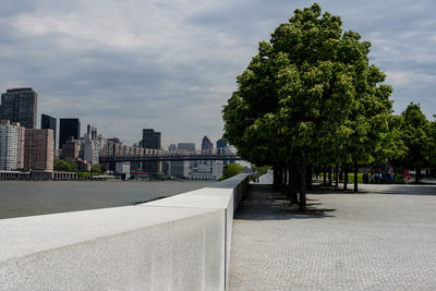 Trees by footpath against buildings in city