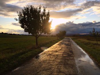 Road amidst trees on field against sky during sunset