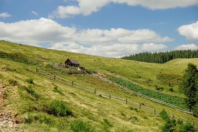 Scenic view of grassy field against sky