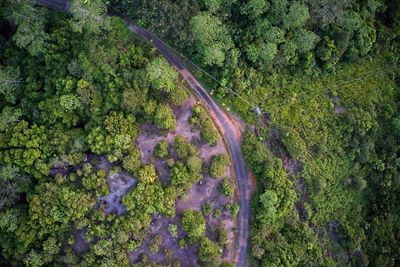 Drone field of view of dirt road hidden among green nature mahe, seychelles.