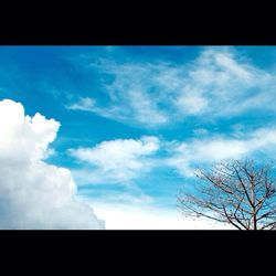 Low angle view of bare trees against cloudy sky