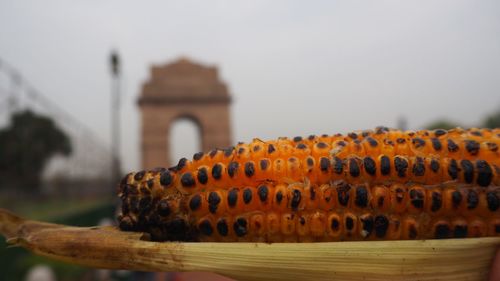 Close-up of orange on table against the sky