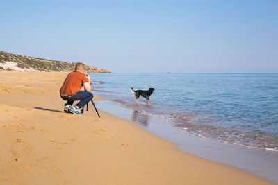 View of dog on beach