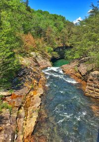 Scenic view of river in forest against sky