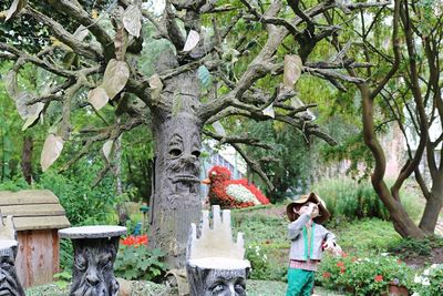 Woman standing by tree against plants