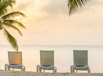 Chairs and palm tree on beach against sky