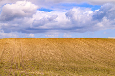 Scenic view of field against sky