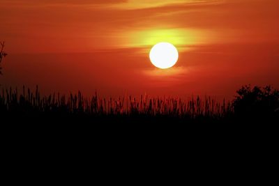 Scenic view of silhouette landscape against orange sky