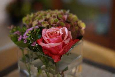 Close-up of rose bouquet