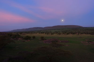 Scenic view of field against sky during sunset