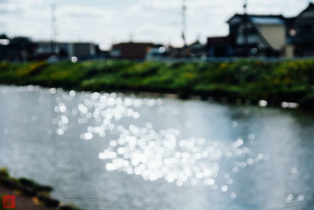 water, building exterior, architecture, built structure, reflection, waterfront, sky, wet, nature, growth, river, focus on foreground, drop, lake, rain, selective focus, outdoors, day, no people, city