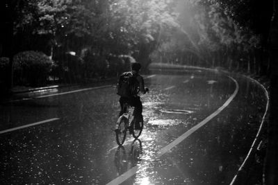 Rear view of man riding bicycle on wet road during rainy season