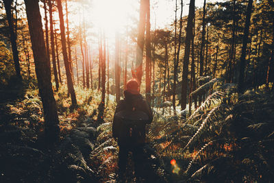 Rear view of man standing by trees in forest