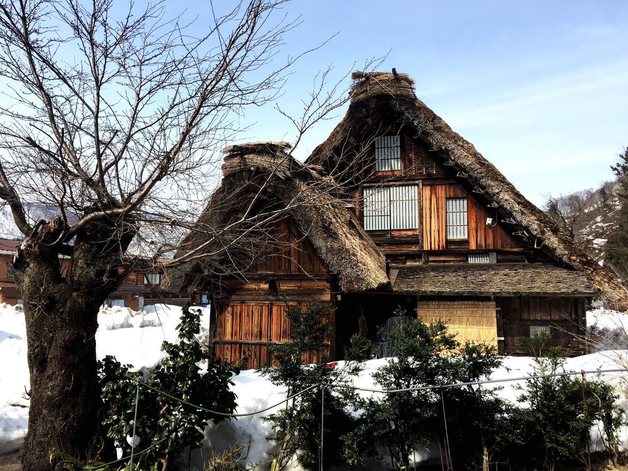 architecture, built structure, tree, building exterior, no people, low angle view, sky, outdoors, day, nature