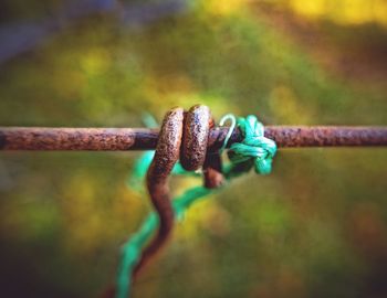 Close-up of rusty metal chain