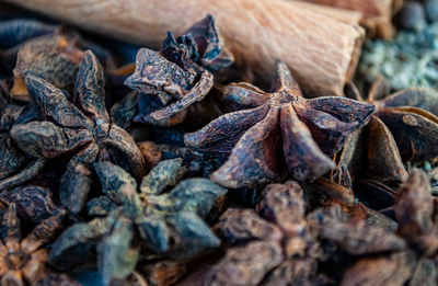 Close-up of dried for sale in market