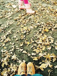 Low section of friends standing on footpath in front of autumn leaves