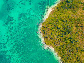 High angle view of sea