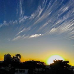 Low angle view of silhouette trees and buildings against sky