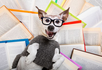 High angle view of portrait of book at home