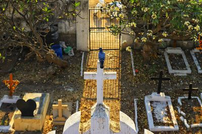 Panoramic view of cemetery