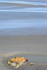 High angle view of people on beach