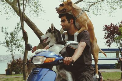 Man riding horse