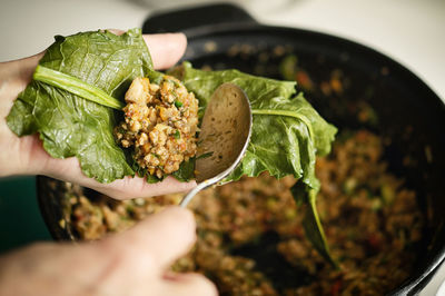 Closeup stuffed patience dock leaves with beef, rice and vegetables