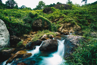 Scenic view of waterfall in forest