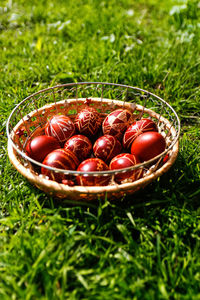 High angle view of chestnuts in basket