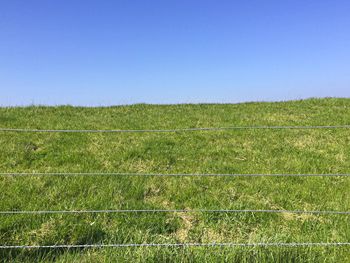 Scenic view of field against clear blue sky