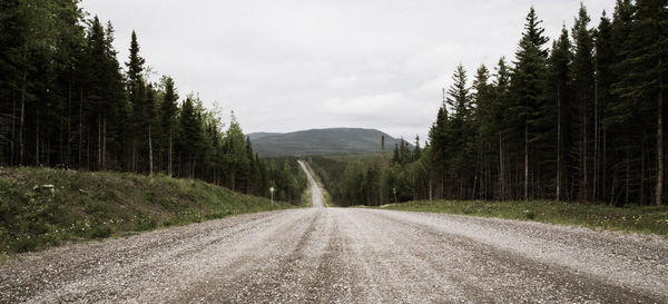 Road amidst trees in forest against sky