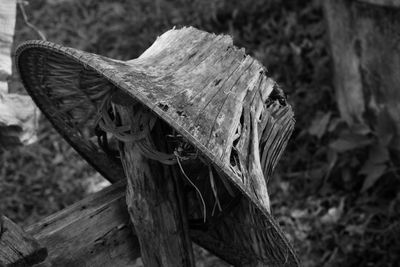 Close-up of old wooden log on field